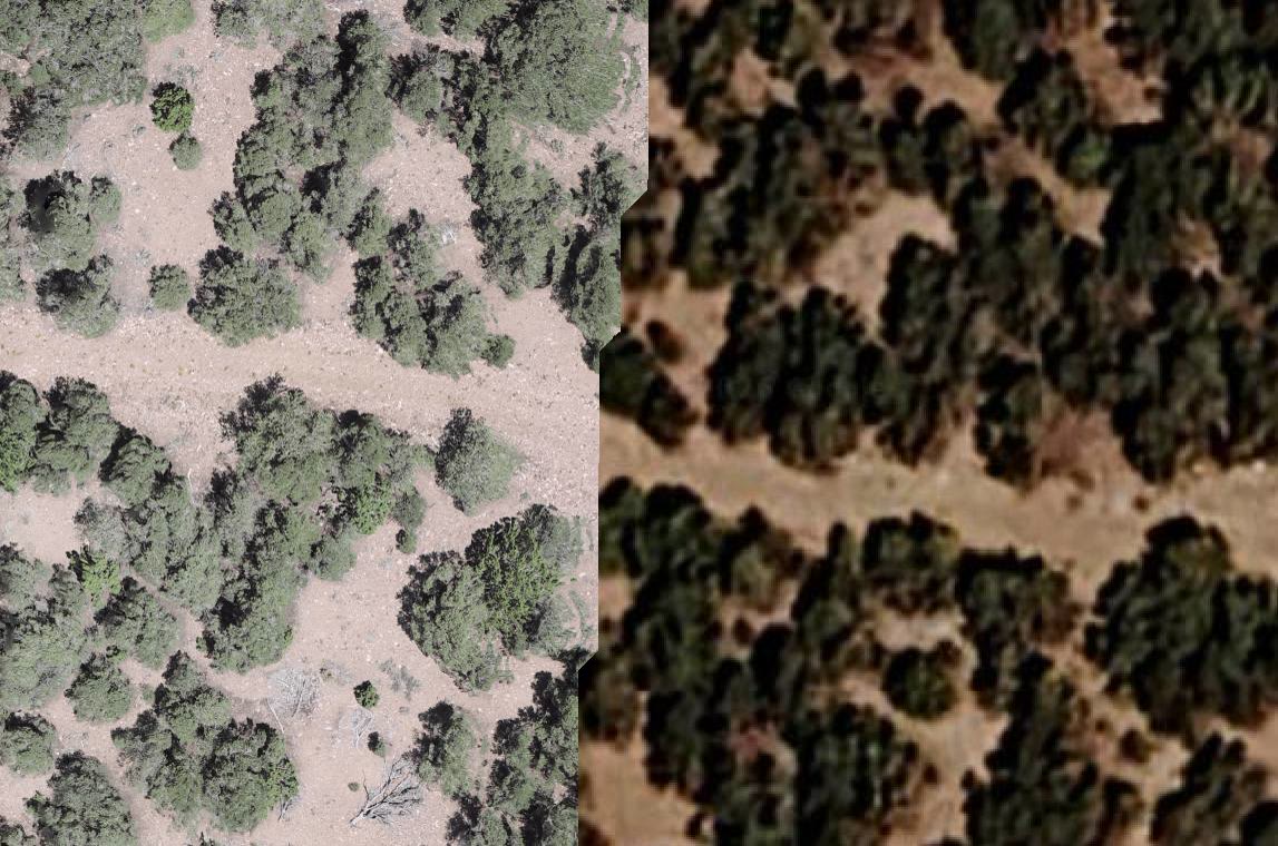 TerraSight drone photogrammetry — Boulder Reef canopy